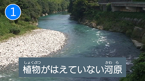 1.植物がはえていない河原